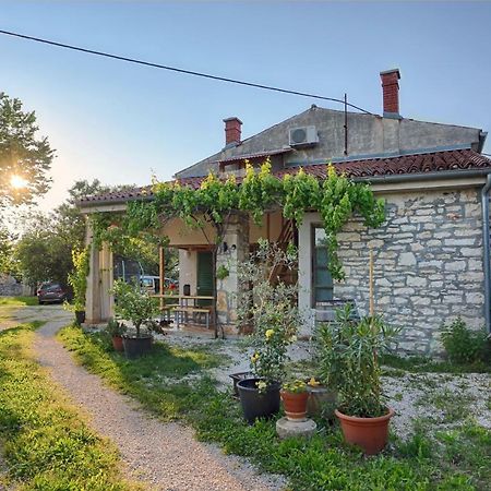 Rural Apartment Geja Umag Buitenkant foto