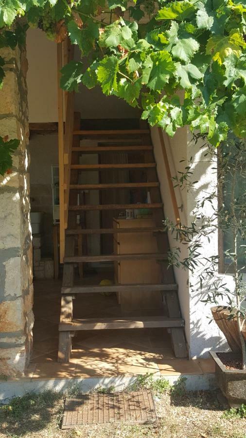 Rural Apartment Geja Umag Buitenkant foto